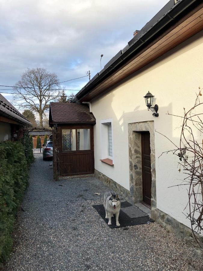 Dom Tkacki - Apartamenty - Pokoje - Jacuzzi Kudowa-Zdrój Exterior foto